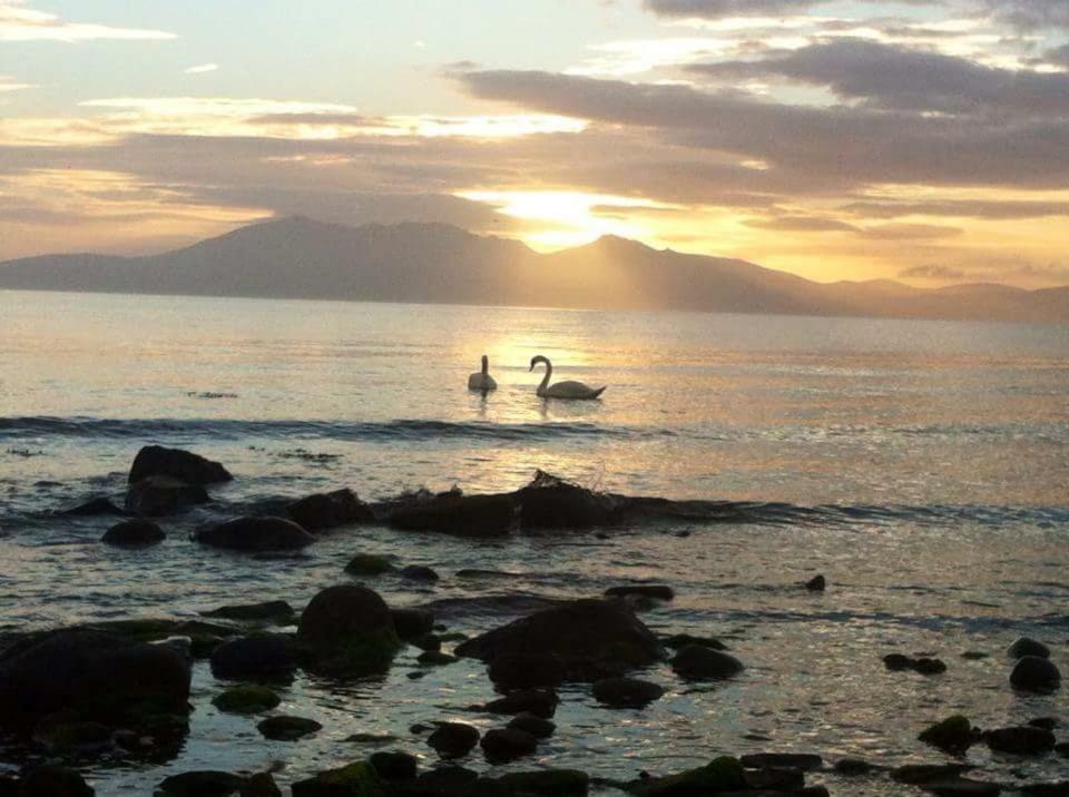 Tarbert Apartman West Kilbride Kültér fotó